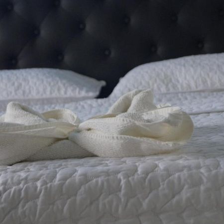 Hostal Magica Noche Filandia Ξενοδοχείο Εξωτερικό φωτογραφία